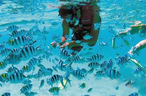 德天空记者:拜仁总转会费2900万欧左右敲定博伊